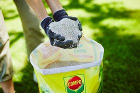 COMPO Rasenlangzeitdünger