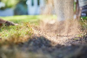 Compo BIO Bodenaktivator für Rasen Nahaufnahme