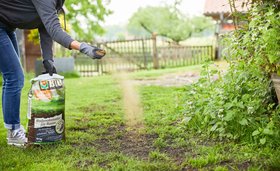 Compo BIO Bodenaktivator für Rasen