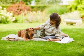 Compo Picknick mit Hund