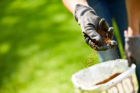 Compo BIO Bodenaktivator für Rasen