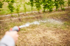 Compo trockener Rasen