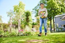 COMPO Gartenpflege