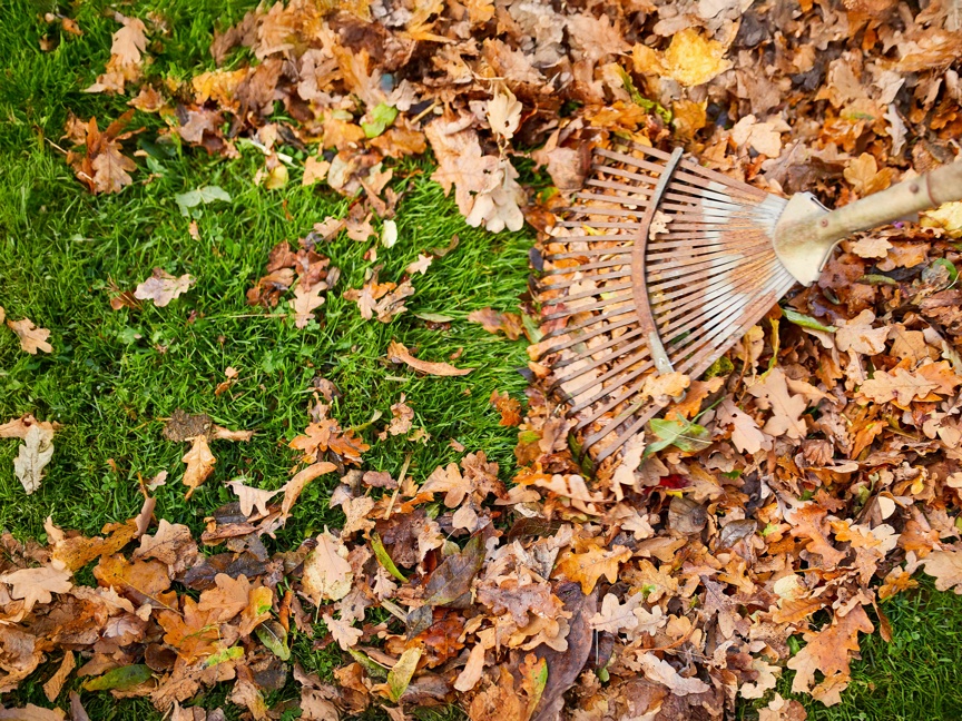 Compo Herbstgarten Laub