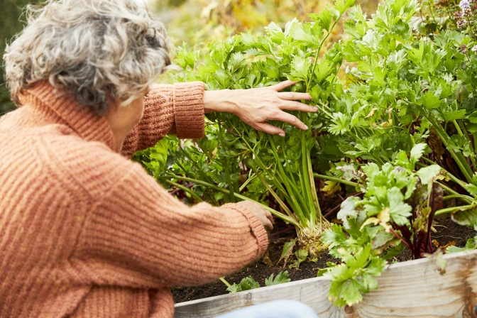 COMPO Hochbeet im Herbst