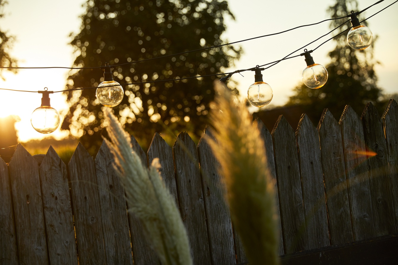 COMPO Lichterkette in der Abendsonne