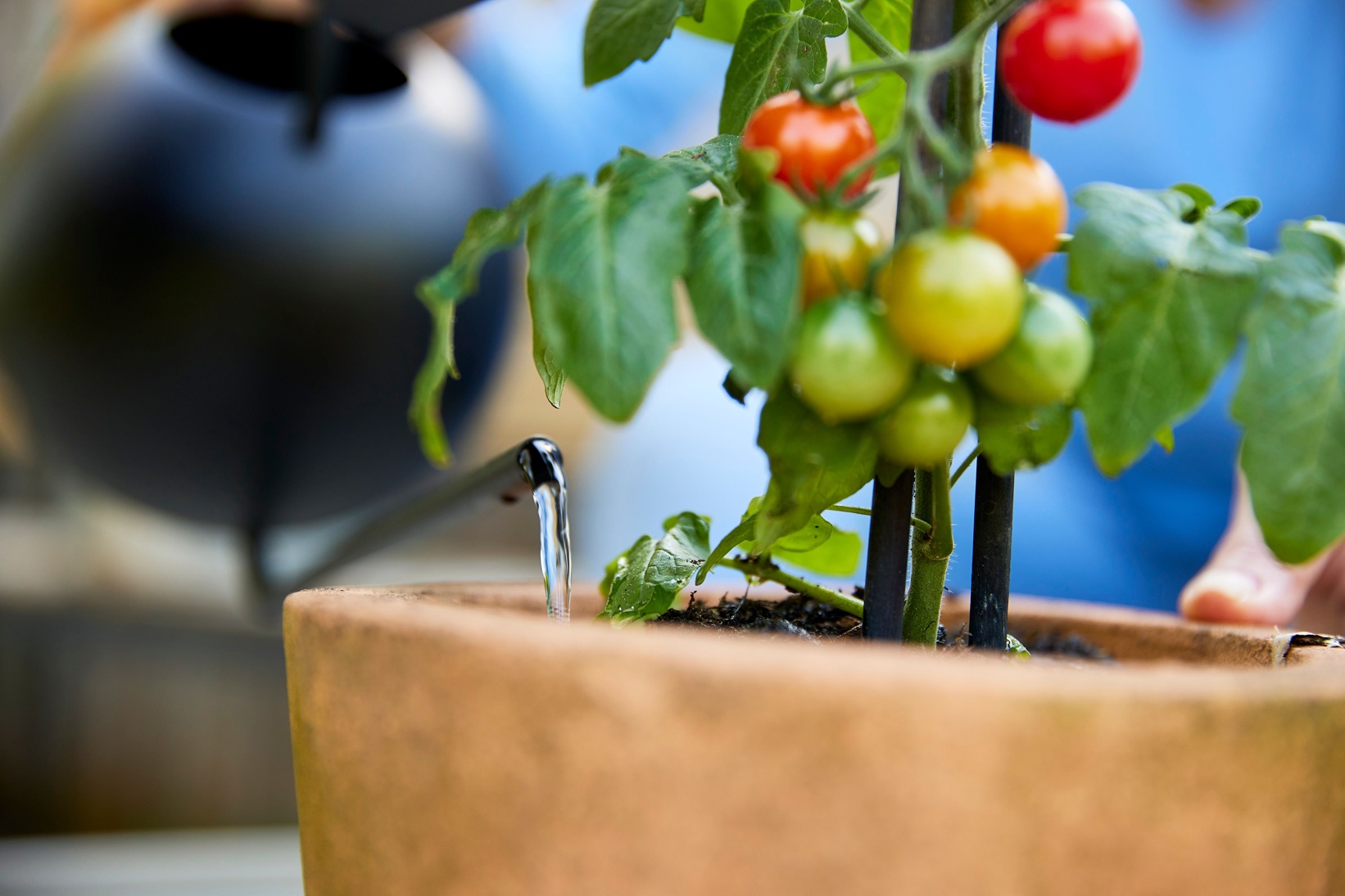 COMPO BIO READY TO USE Universalduenger R9A4917