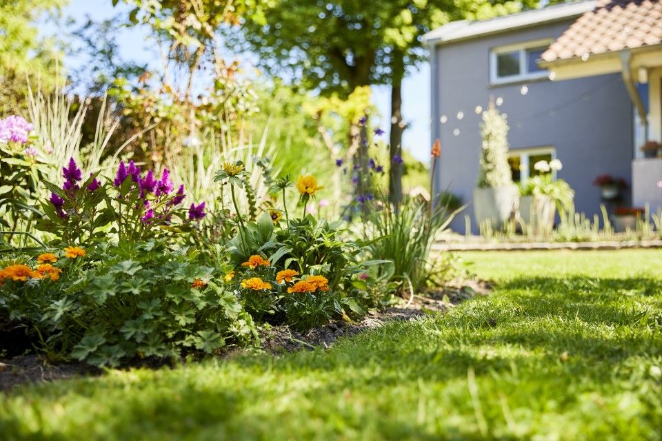 COMPO Garten Mood R9A3238