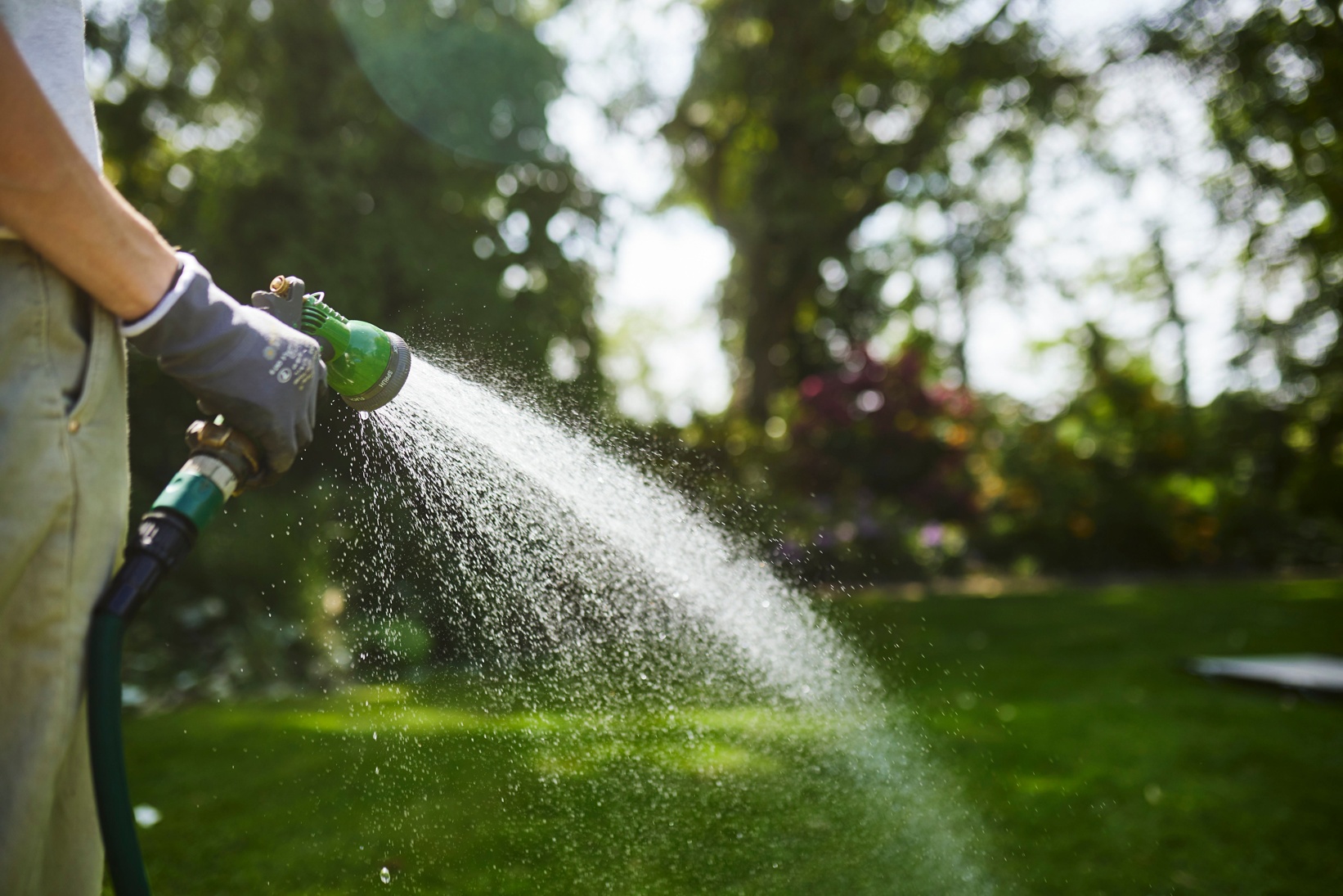 COMPO Rasen Mood  R9A6587