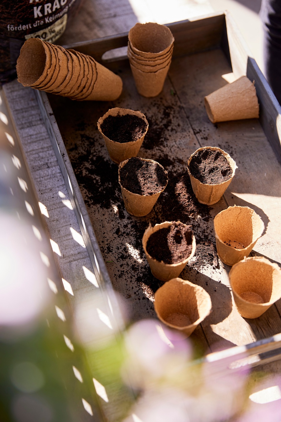 COMPO BIO Anzucht Und Kraeutererde Torffrei R9A3505