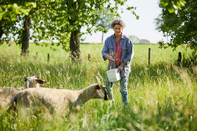 COMPO BIO Schafwolle Moods MG 1492