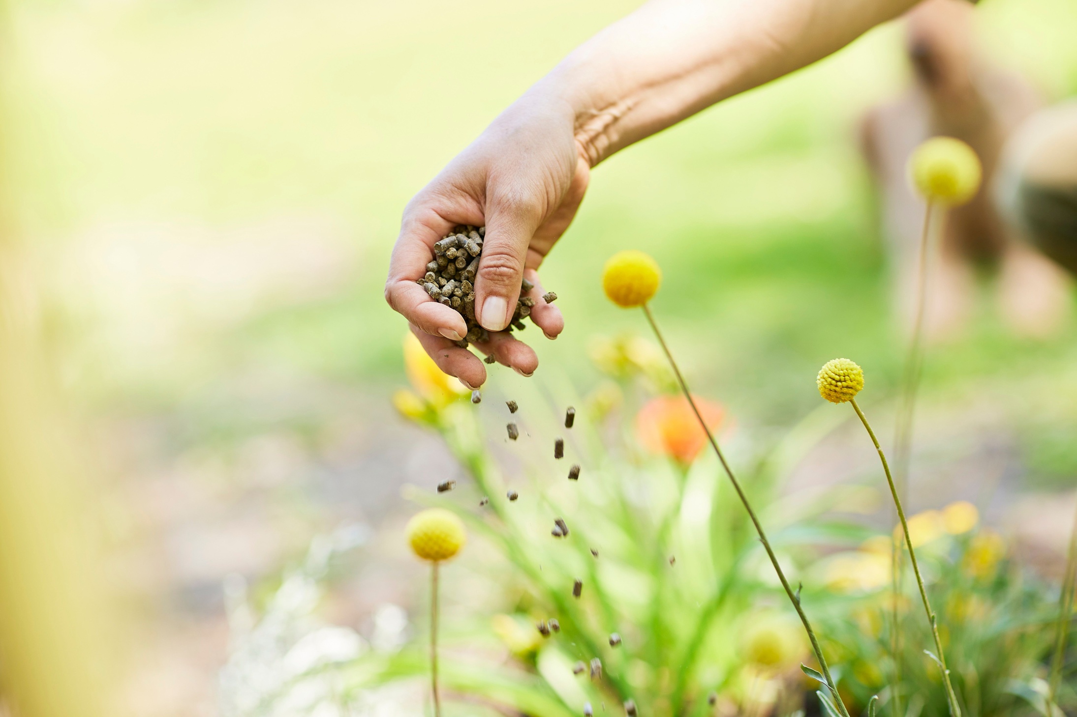 COMPO BIO Universal Duenger Mit Schafwolle R9A9161