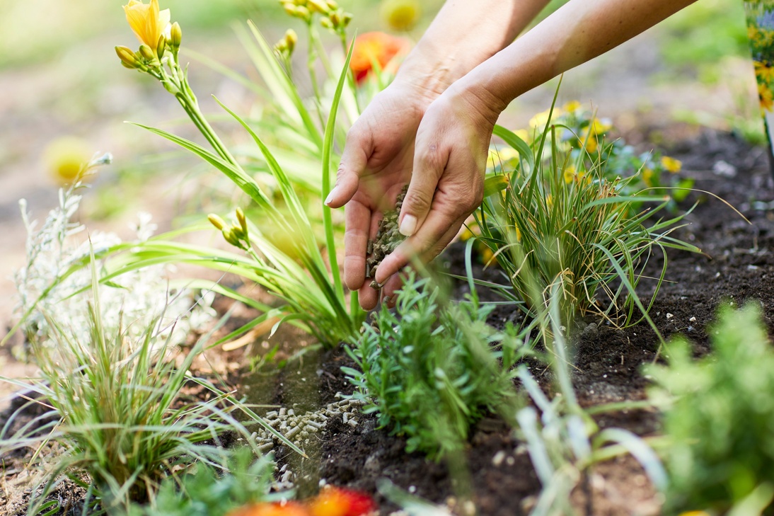 COMPO BIO Universal Duenger Mit Schafwolle R9A9150