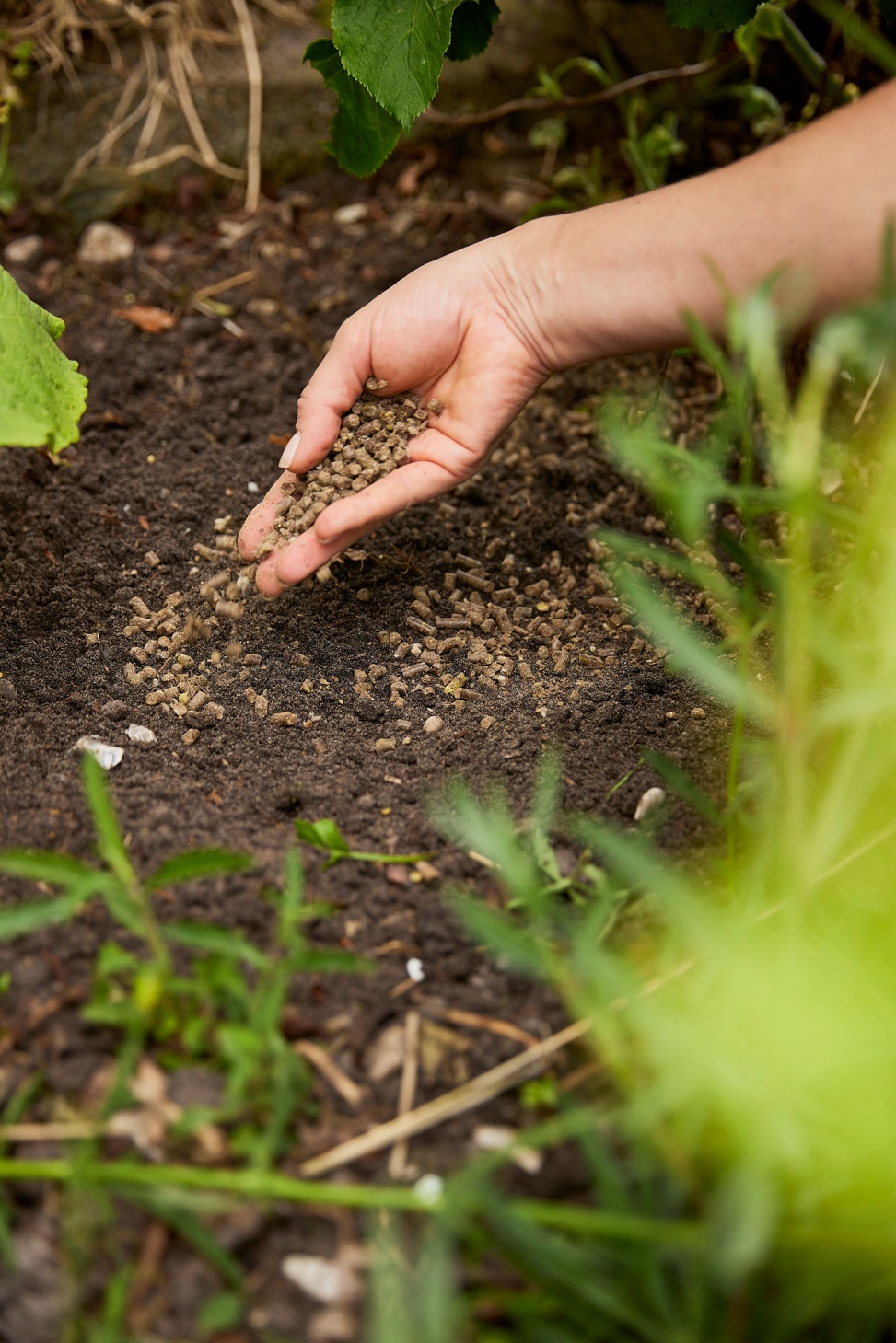 COMPO BIO Universal Duenger Mit Schafwolle R9A9916