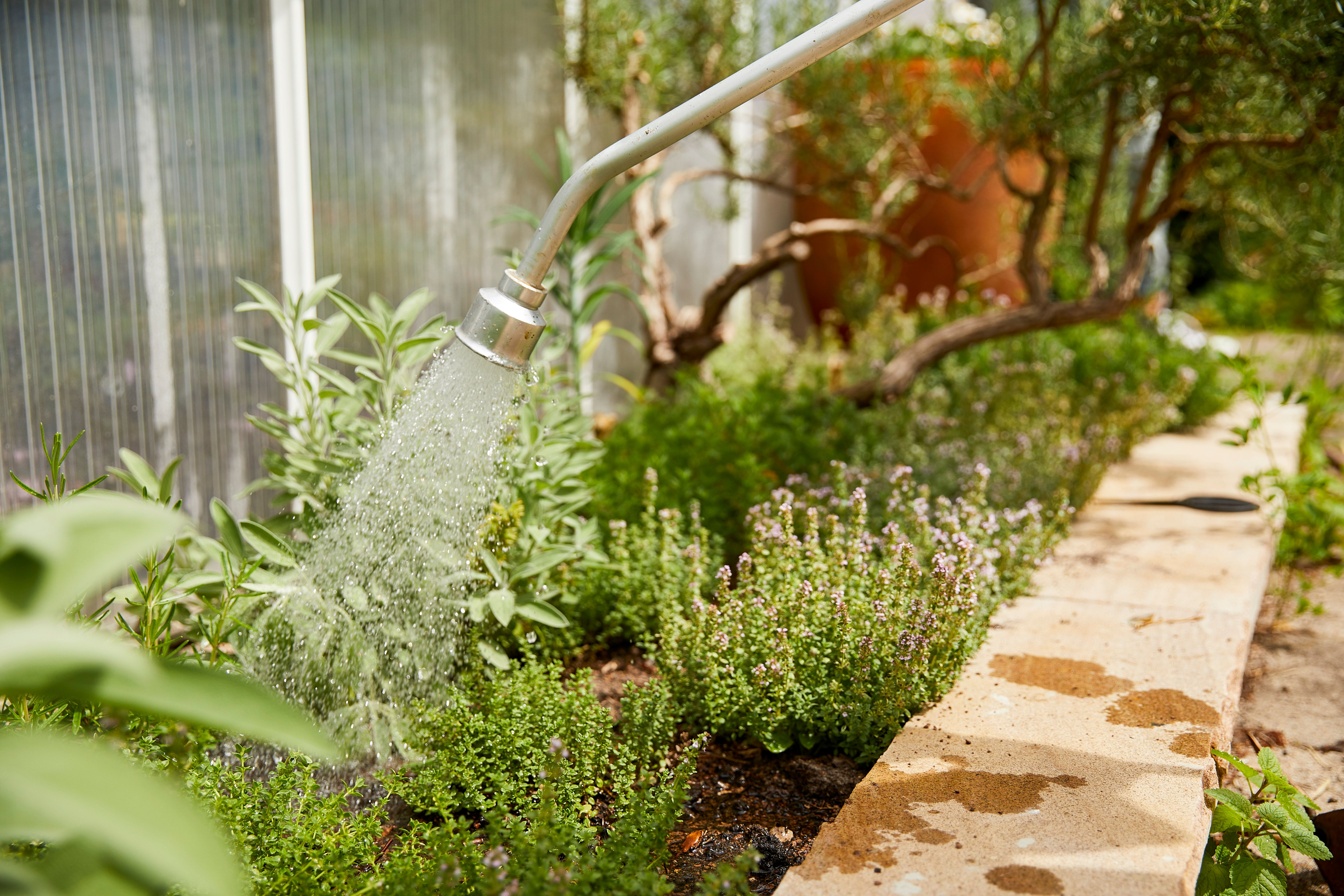 COMPO Kraeuter Moods M8A8348