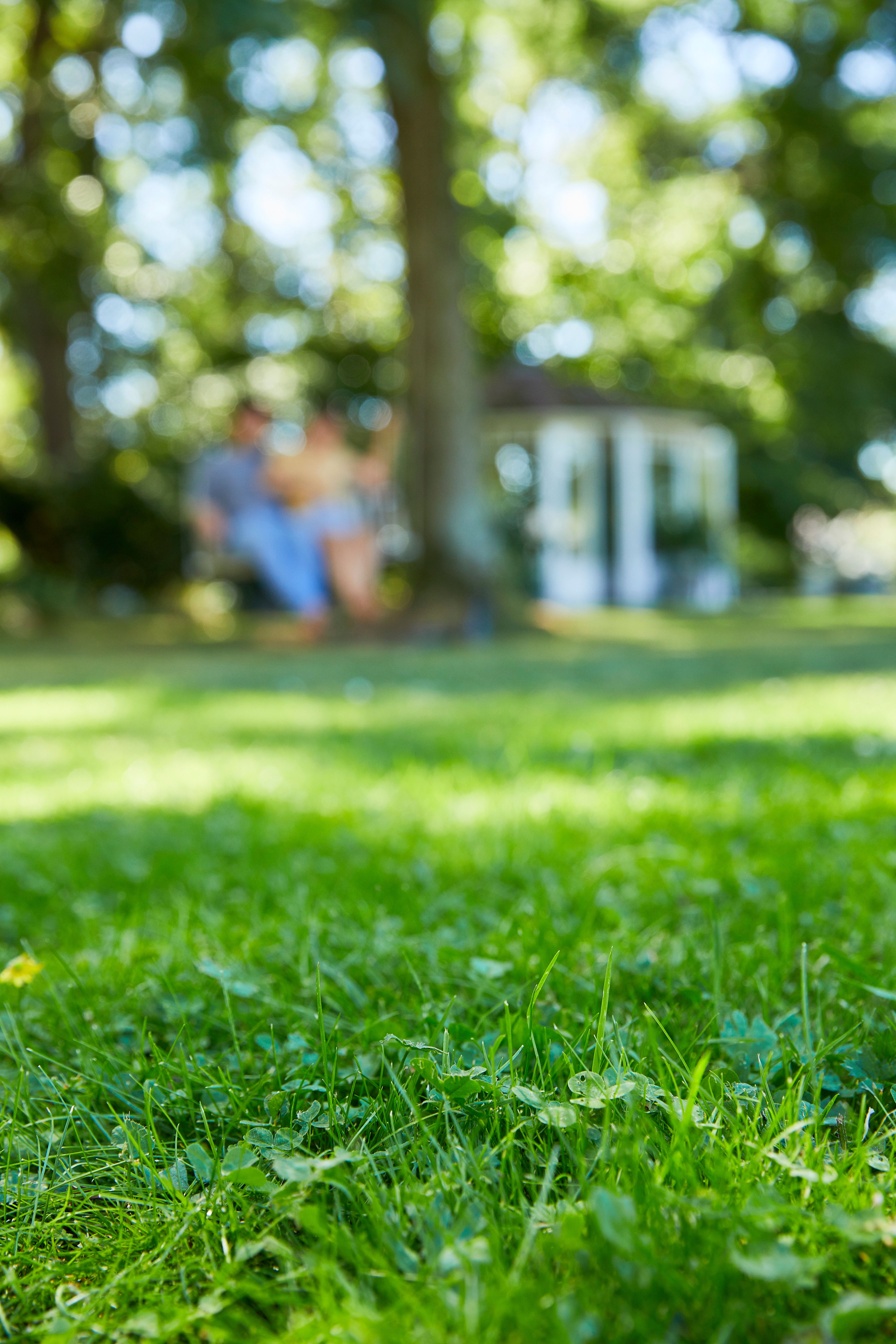 Compo Lawn Mood Relax M8A3148