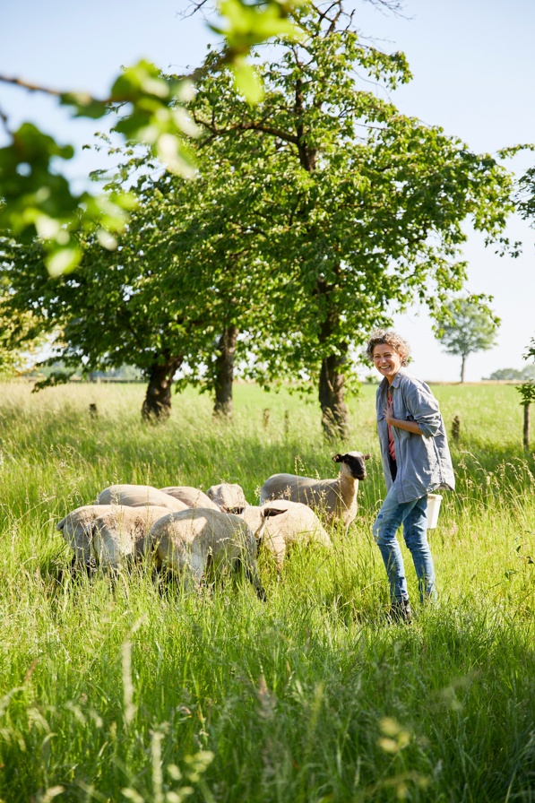 COMPO BIO Schafwolle Moods MG 1535