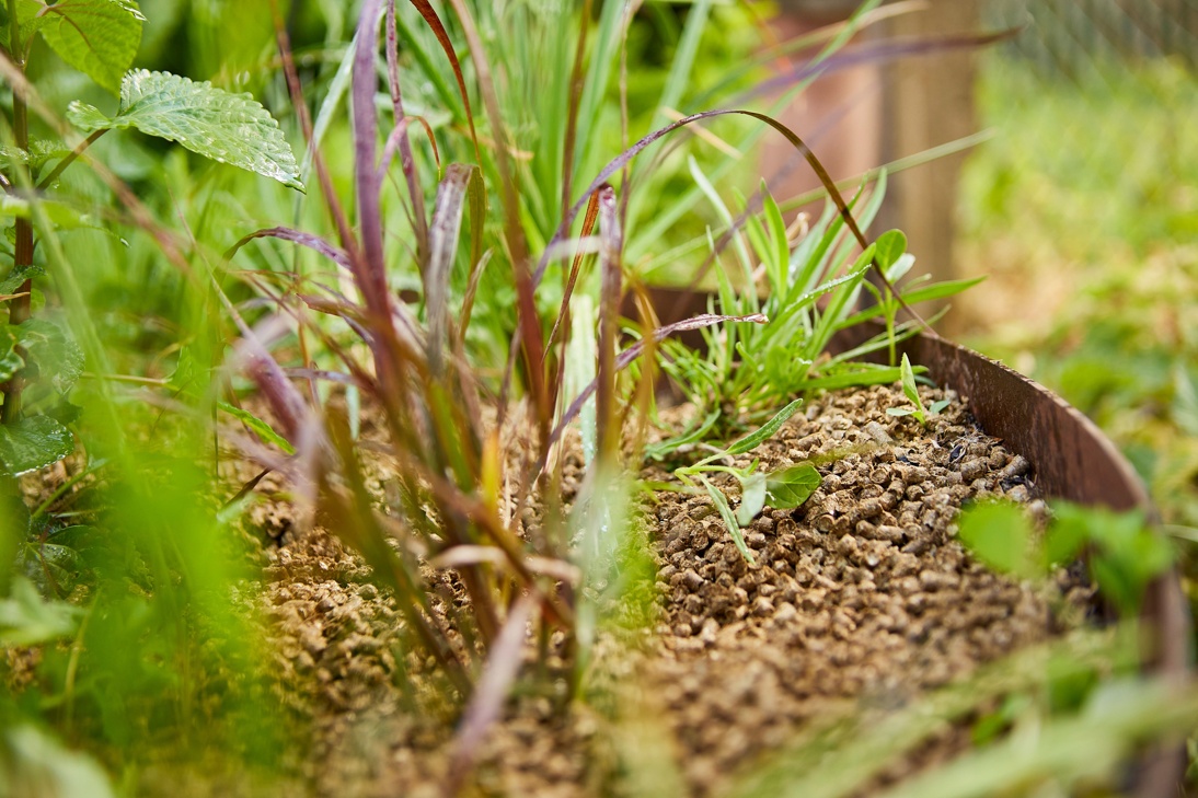 COMPO BIO Bodenschutz Pellets im Beet