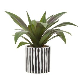 Agave Faux Cactus  Stripe Plant Pot