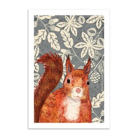 Red Squirrel A3 Print