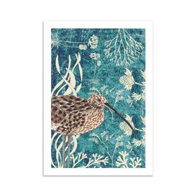 Curlew A3 Print