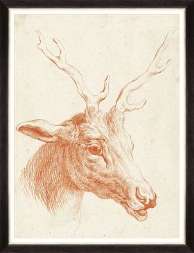 Mindthegap   Wall Art   Print   Transylvanian Roots   Deer Head   Portrait