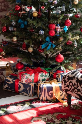 MINDTHEGAP Home, A Transylvanian Christmas, Lifestyle Portrait