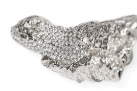 Euphorbia Drawer Handle