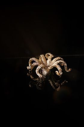 Limited Edition | Octo Drawer Handle