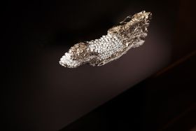 Limited Edition | Euphorbia Drawer Handle