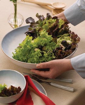 ProCook SS26 Amalfi Stoneware Shallow Serving Bowl