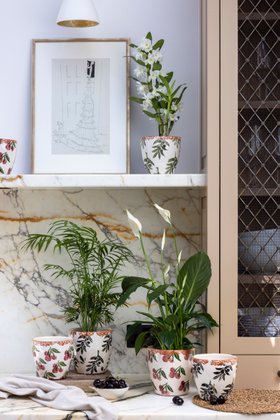 Provence Rustic Cherry Planter, H 13.5cm, D 14.5cm