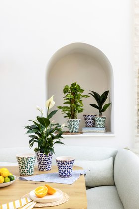 Porto Green Tile Tapered Planter, H 14.5cm. D 16cm