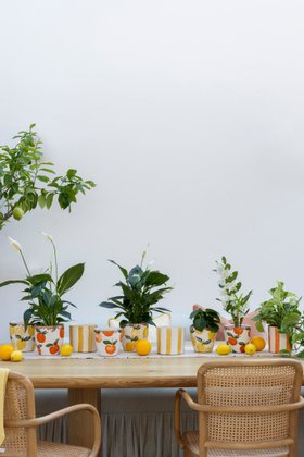 Amalfi Rustic Lemon Planter, H 15.5cm, D 16.5 cm