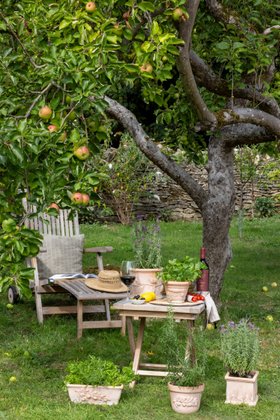 Outdoor Cypress Terracotta Handmade Mixed Pallet