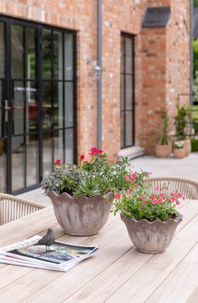 Outdoor Ada Mocha Scalloped Edge Terracotta Bowl, Set of 2