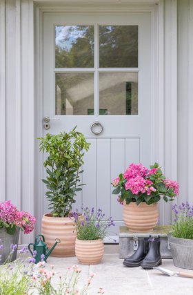 Outdoor Ambrose Honeycomb Terracotta Planter, Set of 3