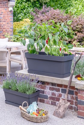 Cleo Anthracite Flower Box, H 33cm, W 79cm, D 34cm