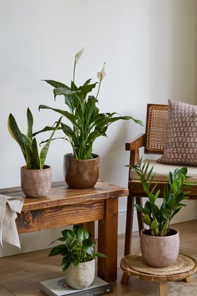 BROOKE RUSTIC GLAZED PLANTER BLUSH