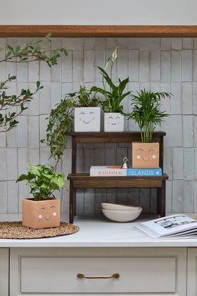 FACE PLANTERS | ORCHID & CACTI