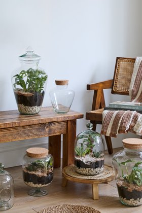 GLASS BELL JAR OPEN TERRARIUM