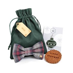 Green Santa Paws Personalised Dog Gift Bag