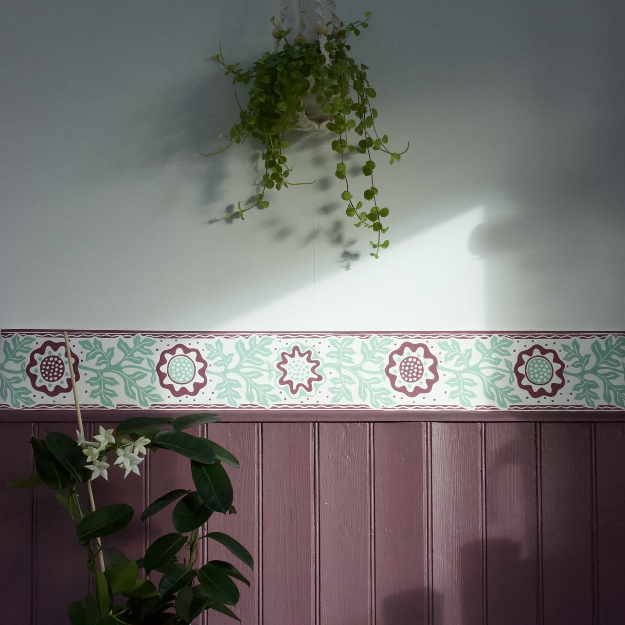 Sunflower Border / Blackcurrant