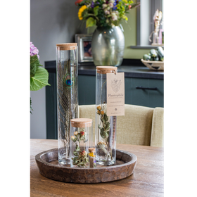 Top Drawer | Plantophile BV - Dried Flower Collection