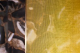 Matki EauZone Wet Room Panel With Gold Mesh Glass Detail   2