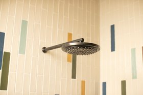 Swadling Brassware Illustrious Deluge On Projection Arm with Dark Bronze finish 2