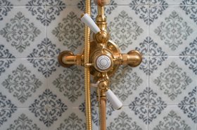 Swadling Brassware Invincible Double Exposed Shower Controls in Living Brass