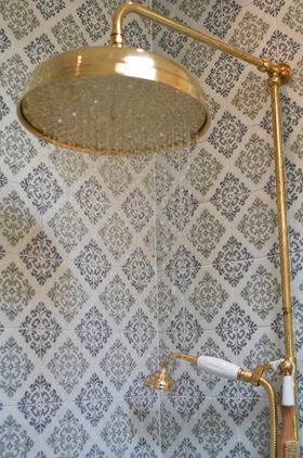 Swadling Brassware Deluge Shower in Living Brass