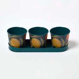 Set of 3 Herb Pots with Tray, Citrus Print