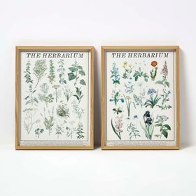 Set of 2 Flower Herbarium Wall Art